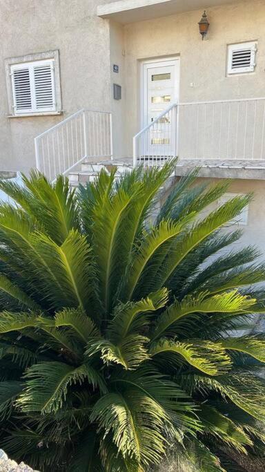קאבטאט Apartment Biggy מראה חיצוני תמונה