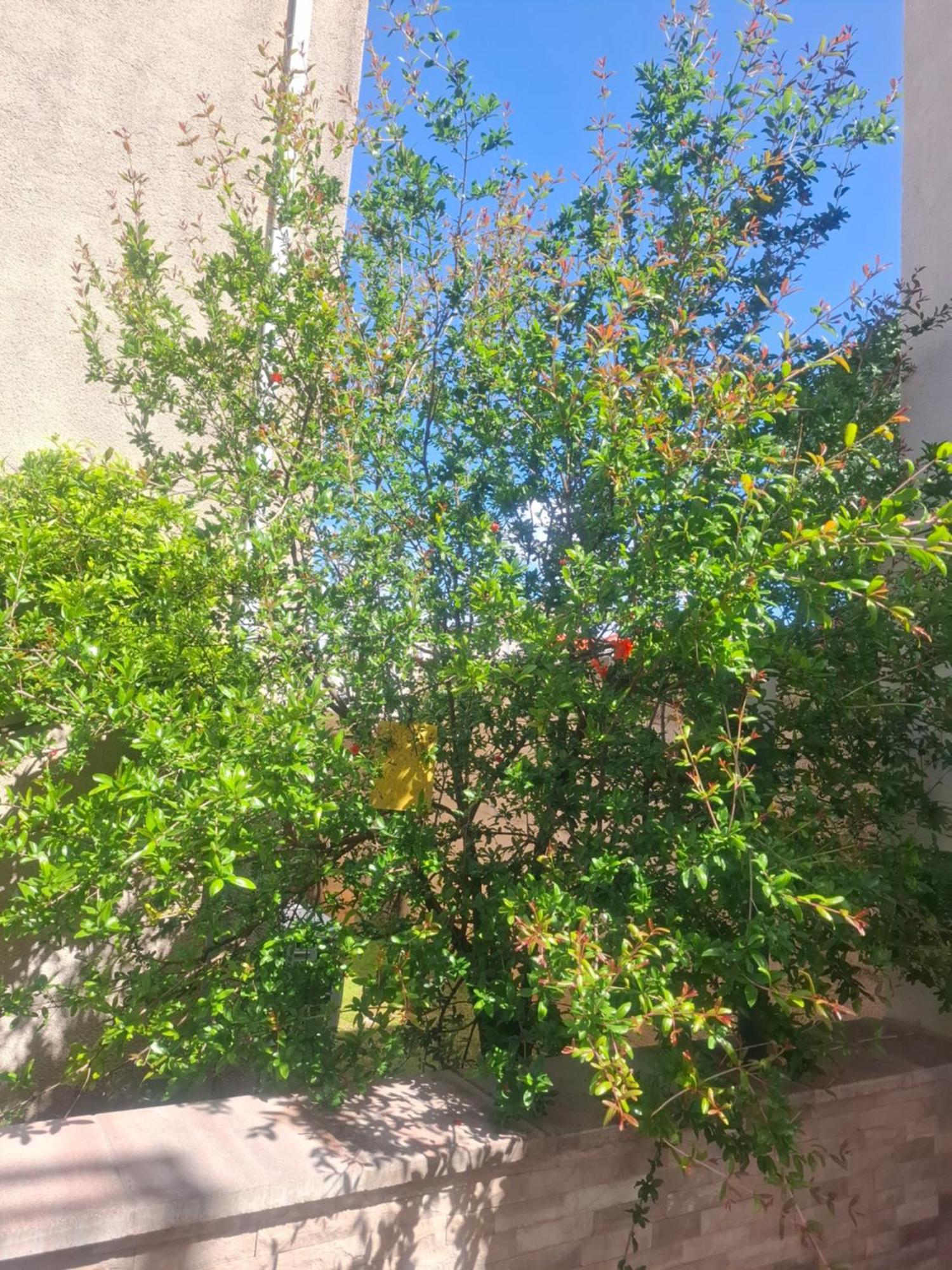 קאבטאט Apartment Biggy מראה חיצוני תמונה